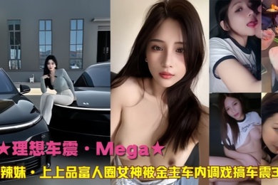 理想车震Mega宝岛辣妹上上品富人圈女神被金主车内调戏搞车震3部曲