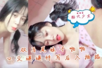 双马尾妹子啪啪秀口交逼逼特写后入抽插