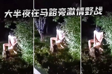 Passionate wild sex on the roadside in the middle of the night