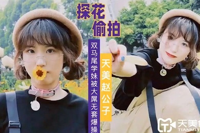 天美赵公子大屌无套爆操双马尾学妹