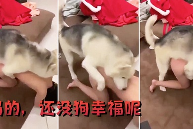 妈的还没狗幸福呢