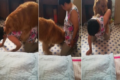 熟女让狗子操她逼逼