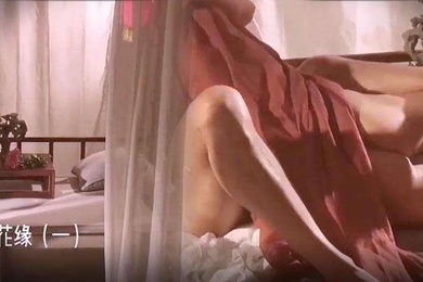 Asia Net's pornographic and ancient style videos, gay men's aesthetic sex videos