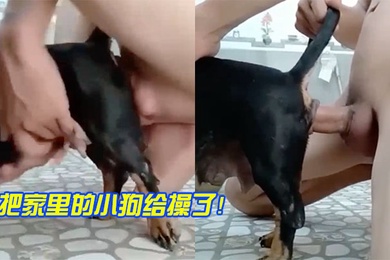 把家里小狗操了