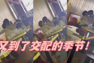 又到了交配的季节