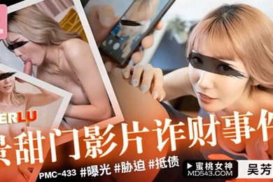 Peach Video Jingtianmen Video Fraud Case-Wu Fangyi PMC-433