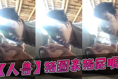 人兽猪圈亲猪屁眼