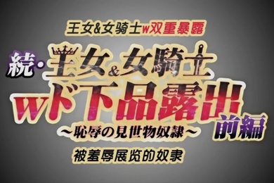 第一集长期持续的超级大国之间的战争以德米纳斯帝国的胜利而告终引导爱尔斯塔王国走向灭